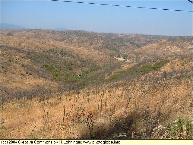 Burnt Landscape near Barragem da Bravura