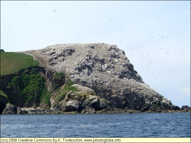 L'Ile Rouzie, one of the Sept Iles