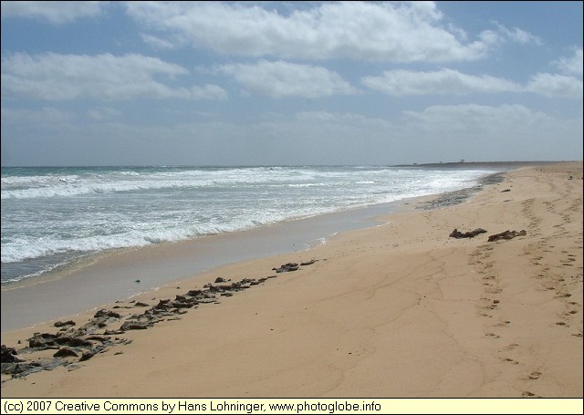 Cemetrio de Tatarugas