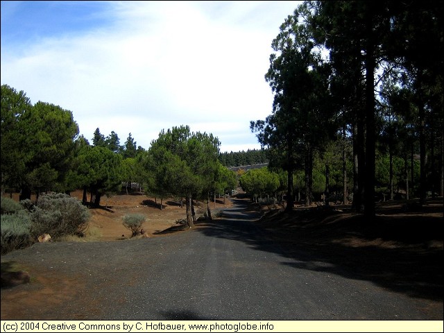 Llanos del Garan