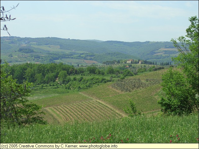 Region around Certaldo