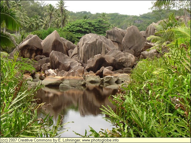 Freshwater Pond