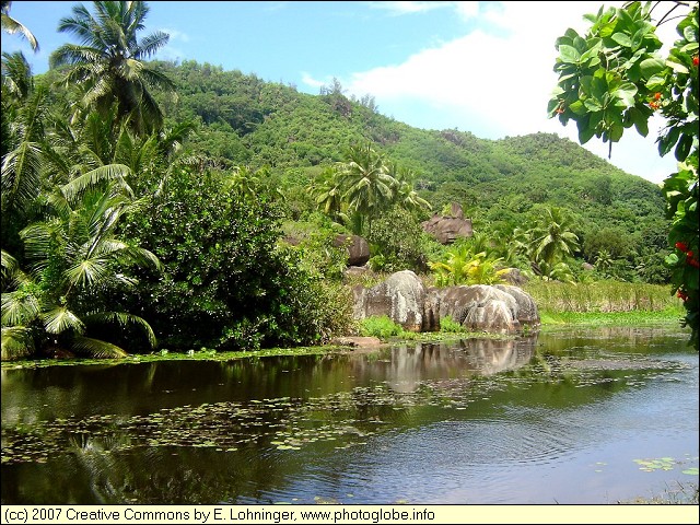 Freshwater Pond Near Baie Lazare
