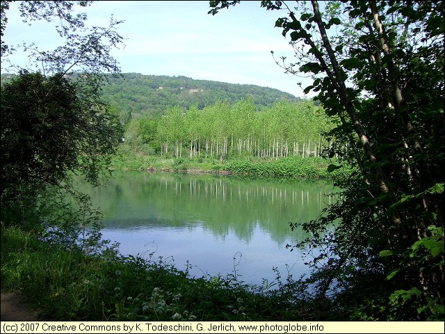 A Branch of the River Rh�ne