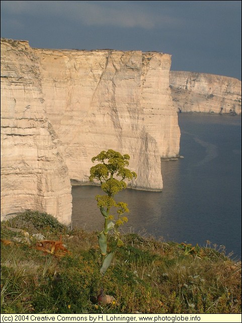 Sanap Cliffs