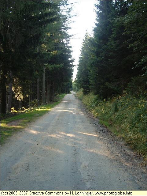 Road near M�nichkirchner Schwaig