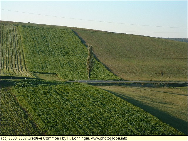 Fields at Starzing
