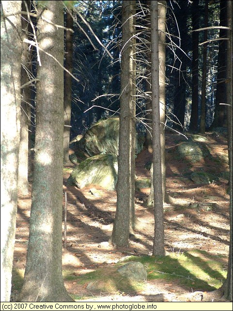 Granite Rocks in the Forest
