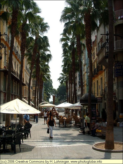 Street in the Center of Mlaga