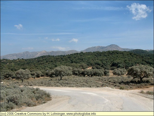 Sierra de Almijara