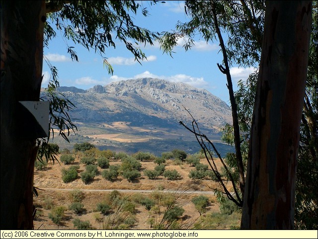 Sierra de Camorolos