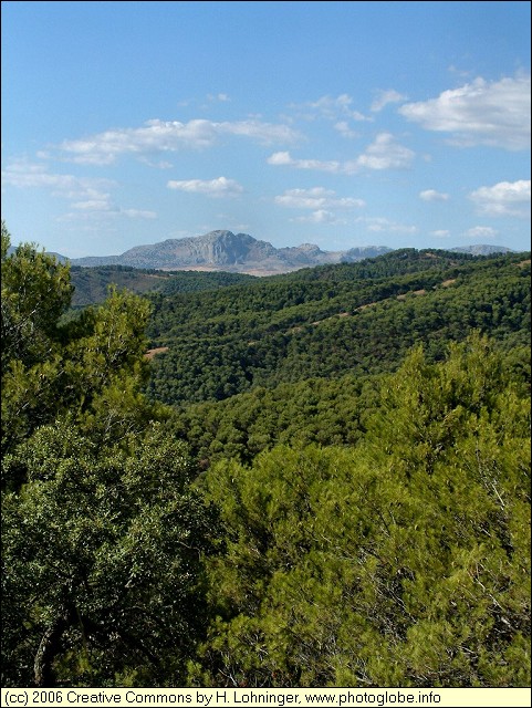 Montes de Mlaga
