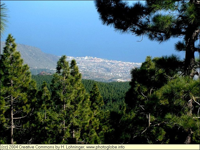 Candelaria seen from Cumbre Dorsal