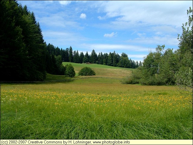 Meadow besides Egelsee