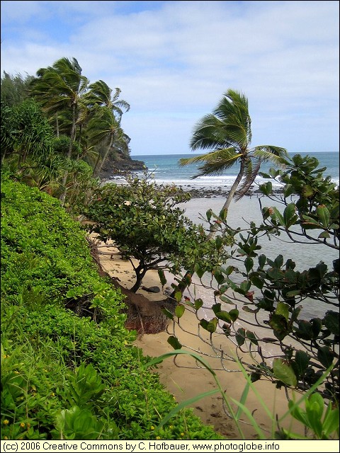 Western End of Hanalei Bay