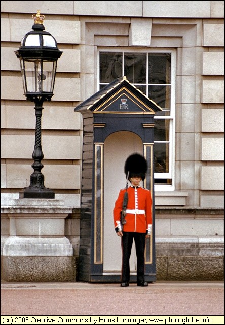 Guard in Front of the Buckingham Palace