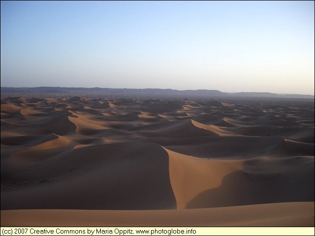 Dunes in the Evening Sun