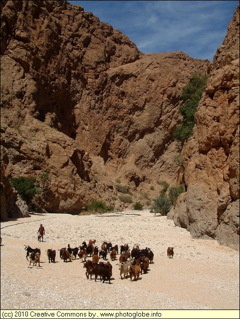 Wadi Shab